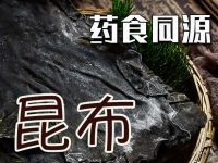 昆布 (Laminaria japonica)