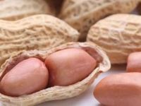 常吃生花生可治胃病吗？