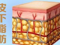 自体脂肪移植技术浅析