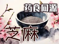 芝麻：小种子里的大秘密，如何成为全球餐桌上的宠儿？