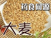 大麦 (Hordeum vulgare)