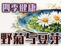 春日餐桌上的清新力量：野菊与豆芽&mdash;&mdash;浅谈春季养生的自然馈赠与养肝之道