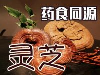 灵芝：仙草之首，中医药宝库中的瑰宝
