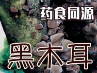 黑木耳：营养丰富的多功能真菌