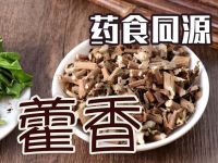 藿香：芳香化湿，解暑止呕的中草药之星