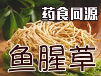 鱼腥草真的能治病吗？揭秘这种神奇植物的双重身份！