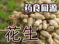 花生：平凡而又神奇的豆中果——营养价值与食用价值解析