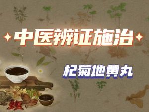 中医辨证施治-杞菊地黄丸