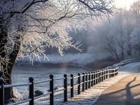霜降啦！快来熬梨膏，养生走起