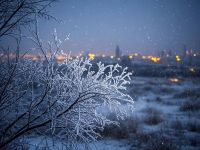 立冬养生 “食” 光，中医智慧护航