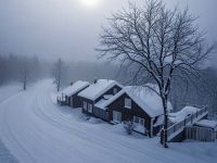 大雪与冬季饮食的“爱恨情仇”你知道多少？