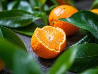 砂糖橘吃多了长“肿瘤”，是尊嘟？还是假嘟？