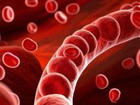 气血怎么补？教你一招立杆见效