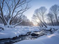 爆！冬至不做这件事，你就亏大了