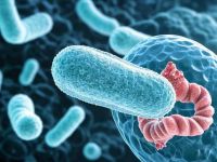 “胃”你还好吗？幽门螺旋杆菌：消化性胃溃疡的头号“元凶”！