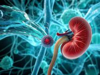 救命！这些日常行为，正在偷偷伤害你的肾