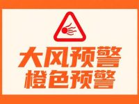 大风橙色预警下，户外运动不如 “宅家动”！这份室内活力指南请收好