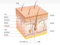干旱天哪些人健康风险高？5类人群需警惕