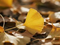 立秋养生“三防三润”指南：告别暑湿，迎接秋燥，这样做就对了！