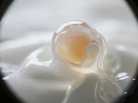 备孕姐妹快集合！你以为的排卵期全是错的！真·易孕时间只有这几天！